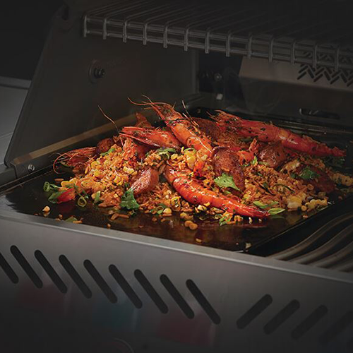 Grillplatte / Gussplatte für Prestige 500, Prestige Pro 500, BILEX