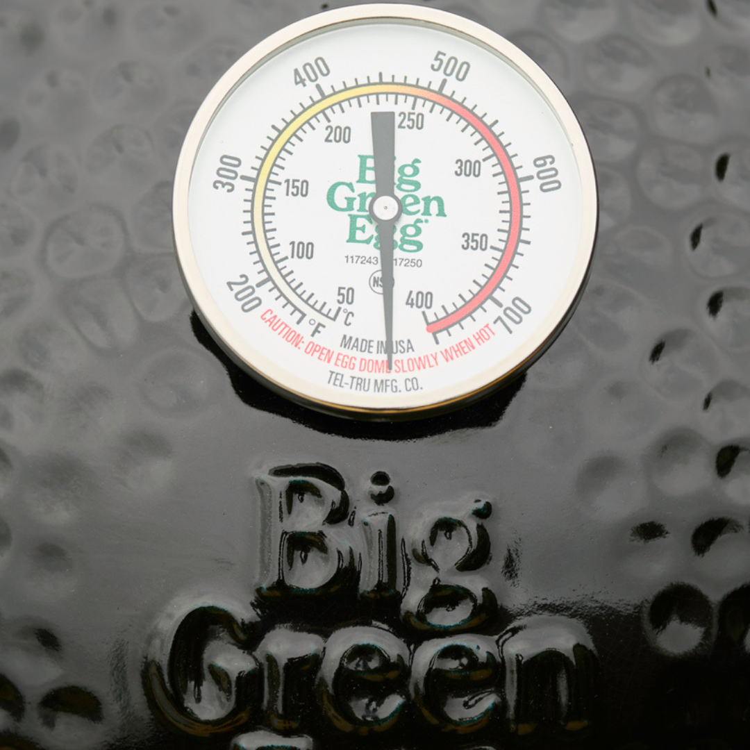 Biggreenegg_The_Onxy_Starterset_Thermometer