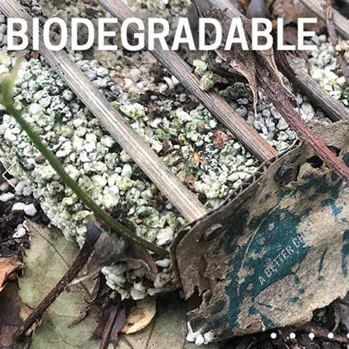 Casusgrill Einweggrill biologisch abbaubar